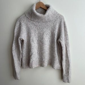 Banana Republic Alpaca & Merino Wool Crop Turtleneck Sweater